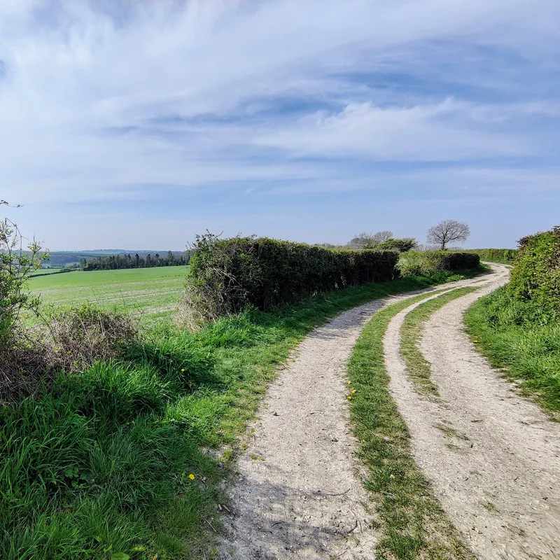 A photos of a country track with a path visible in the headges